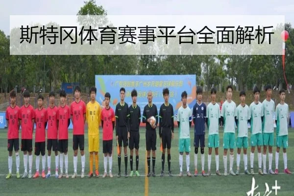 斯特冈体育赛事平台全面解析