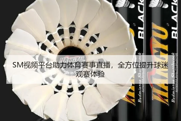 SM视频平台助力体育赛事直播，全方位提升球迷观赛体验