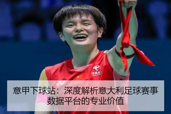 意甲下球站：深度解析意大利足球赛事数据平台的专业价值